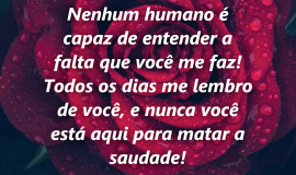 Imagem de Imagem de Luto com frase – Nenhum humano é capaz de entender a falta que você me faz!