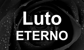 Imagem de Imagem de Luto Eterno – Declare Luto com essa linda rosa Negra