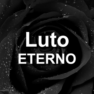 Imagem de Luto Eterno – Declare Luto com essa linda rosa Negra 300x300