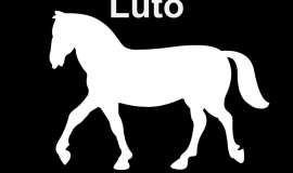 Imagem de Imagem de Luto Pelo Cavalo ou Égua